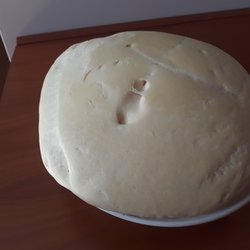 Pasta per pizza e focaccia