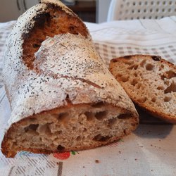 Pane integrale nel forno di casa